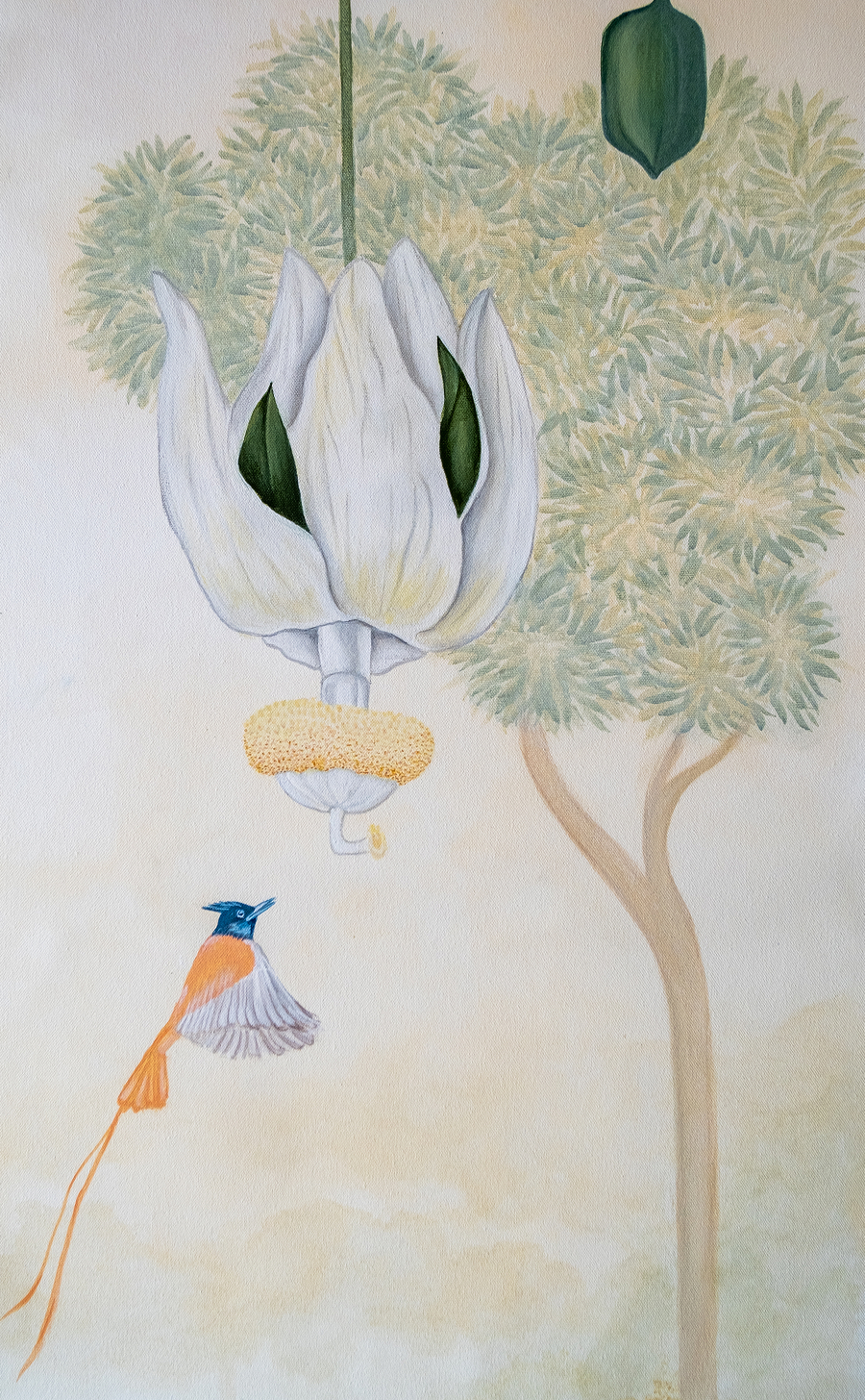 landscapes-of-gir-4